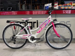 GFM CTB 26" Lady Fairy 6spd...