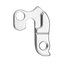 Derailleur Hanger