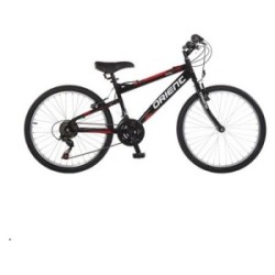 ORIENT Mtb Sprint 20"6spd Boy