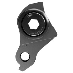 SRAM Derailleur Hanger Udh