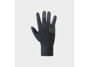 ALE Winter Glove