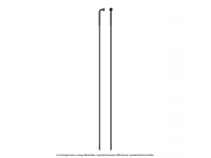 SAPIM Spokes Leader Inox...