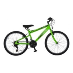 ORIENT Mtb Sprint 20"6spd Boy