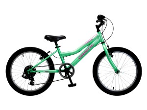 ORIENT Mtb Sprint 20"6spd...